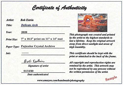 11 X 14 Wall Art Decor Including Photograph Of Forest Of Yellow Aspen Trees During Fall Foliage #TOP4