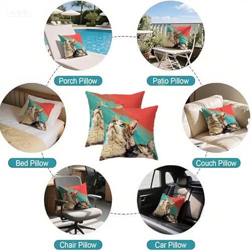 Housses de coussin de décoration en velours double face chat carré brun - 7