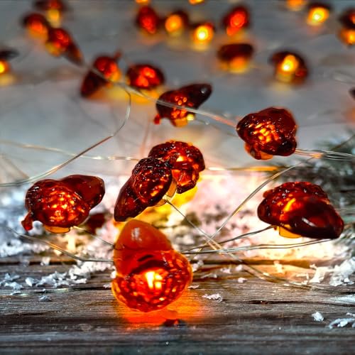 Decorative-Fairy-3D-Acorn-Copper-Wire-Lamp-Thanksgiving-Decoration-Acorn-Fall-Harvest-Decorative-Lights-165-ft-50-LED-for-Wedding-Bedroom-Fireplace-Mantel-Ice-Age-Ornaments-Home-Decor Decorative Fairy 3D Acorn Copper Wire Lamp Thanksgiving Decoration Acorn Fall Harvest Decorative Lights 165 ft 50 LED for Wedding Bedroom Fireplace Mantel Ice Age Ornaments Home Decor
