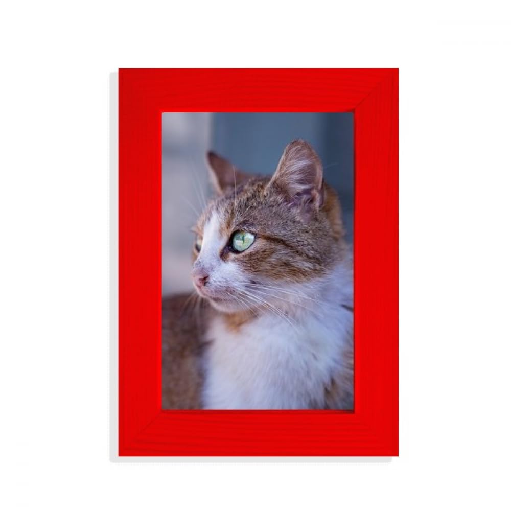 Cadre photo chat marron et rouge en bois pour décoration intérieure chic