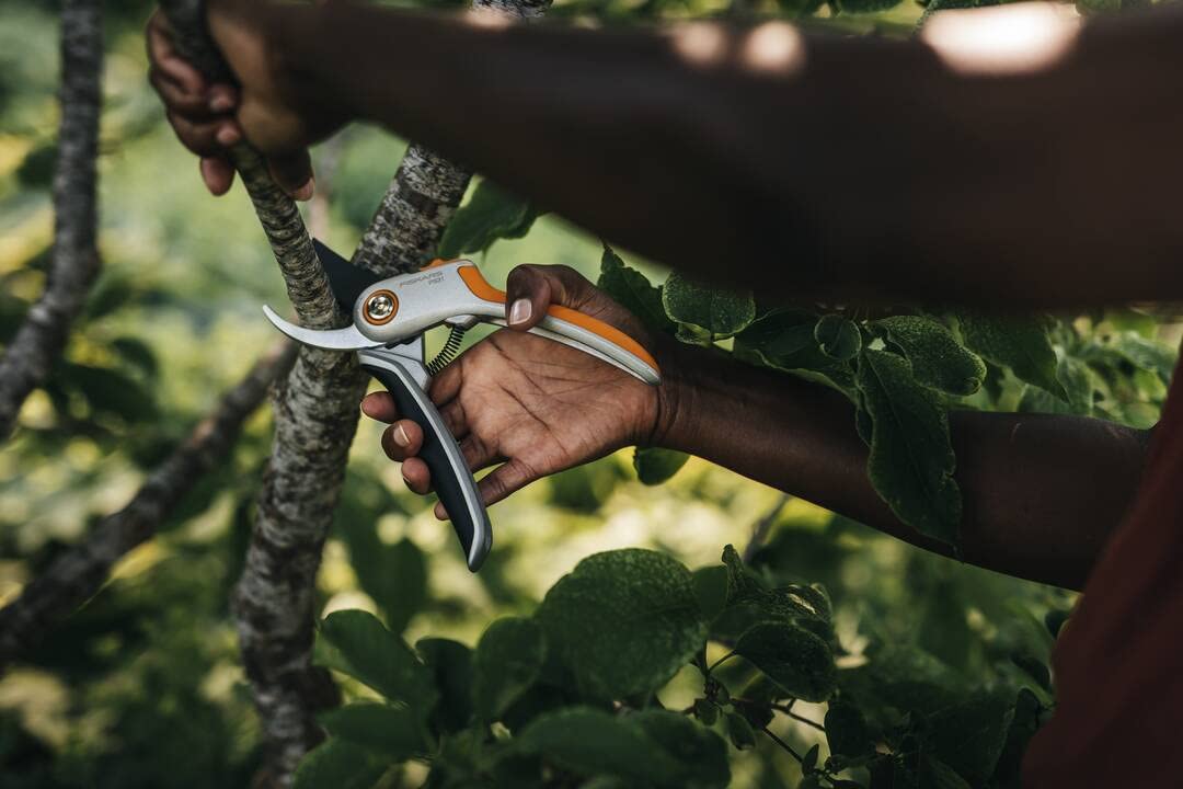 Fiskars Sekator boczny do świeżych gałęzi i gałązek, powłoka antyadhezyjna, stalowe ostrza/aluminiowe rączki, czarny/pomarańczowy, Plus, P531, 1057168