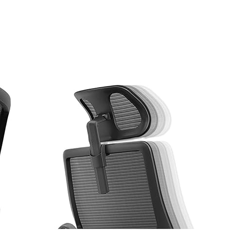 Amazon.com: Newtral Ergonomic Home Office Chair, High Back Desk