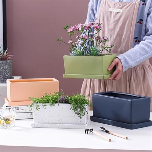 Jardinière rectangulaire céramique pot fleur succulente perforé - 6