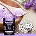 Calming Lavender Foot Soak with Epsom Salt, Made in USA, Foot Soak Soothes Tired Feet, Athletes Foot, Stubborn Foot Odor, Softens Calluses & Helps Treat Toenail, 16 oz 1 lb