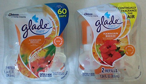 Glade PlugIns Scented Oil Air Freshener Refill, Clear Springs & Fresh Mountain Morning, 2Count, 1.34 oz (Pack of 3)