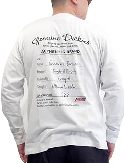 メンズ ブランド Dickies ディッキーズ Tシャツ 長袖 袖ロゴ ラグラン M L ＸL オーバーサイズ ビックシルエット プリント ワンポイント コットン 綿100％ 10001798