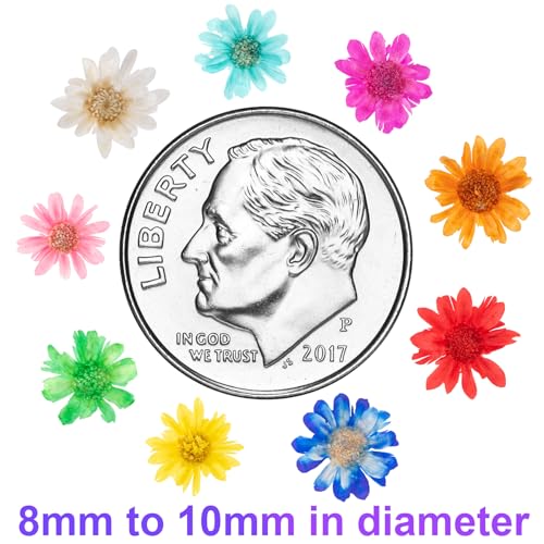 280 flores secas pequeñas para manualidades y resinados miniatura 2