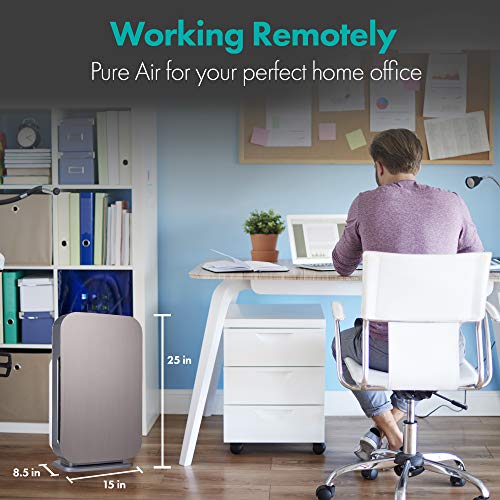 Alen Breathesmart Flex Hepa Air Purifier With Odor Filter, Absorbs Pet Odor, Household, And Food Odor, Captures Pet Dander, Allergens, Dust, Mold, Germs. Kids Rooms And Home Office Up To 700 Sq. Ft. #TOP6