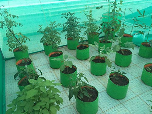 Image of Bio Blooms Agro India Pvt. Ltd. 9X12Inch HDPE Plant Grow Bags for Terrace Gardening | Pack of 10| Green & Orange Color| Outdoor Use|