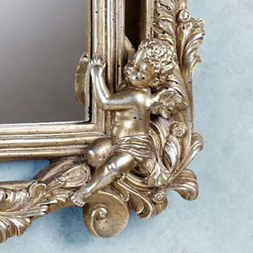 Touch Of Class Ornate Cherub Wall Mirror Acanthus Leaf - Baroque Style Decor Champagne Gold Finish - Vintage Mirrors For Vanity, Elegant Mounted Accent #TOP7