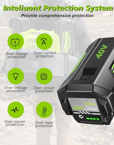 Image of 2Pack 6000mAh Lithium Battery Replacement for Ryobi 40V Battery and Charger | Compatible with Ryobi 40 Volt Batteries OP40401 OP4026 OP4030 OP4050 OP40601 Cordless Tools, LED Indicator Lights