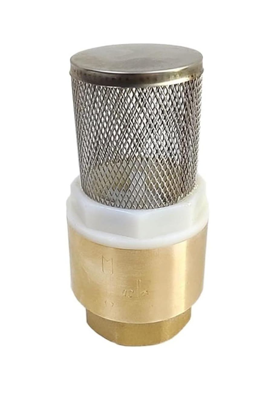 Lmrxofe One Color Brass Vertical Check Valve
