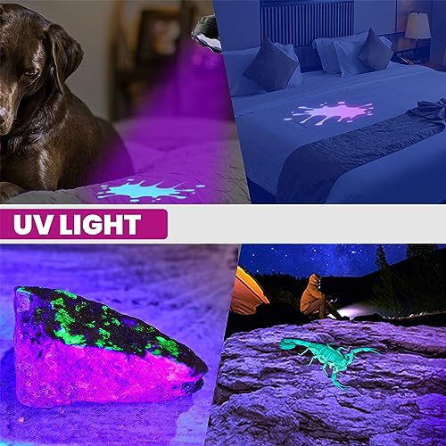 EverBrite 2 in 1 Torcia UV a luce nera con 38 LED