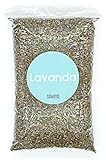 Lavanda Seca Natural 200 GR - Flores Secas Lavanda - Lavanda - Flor de Lavanda Seca Natural para Ambientador, Aceite Esencial, Jabones, Cosméticos, Velas…