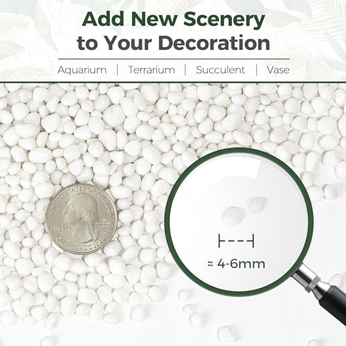 Image of T4U Tumbled Chips Stones Crushed White Gravels 1 LB, Irregular Shaped Natural Rock Pebbles, DIY Polished Rocks for Potted Plant,Bonsai,Vase Fillers Aquarium Decoration, Aquarium Gravel Rocks