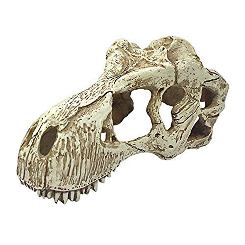 Komodo Abrigo para répteis, resina de alta densidade, T-rex, G