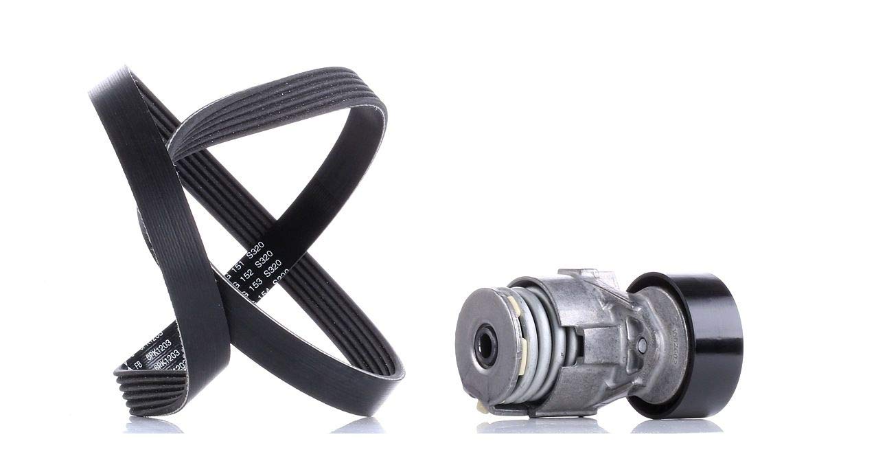 INA Juego de correas trapeciales poli V 529 0009 10 1203mm Compatible con NISSAN Qashqai II J11, J11, RENAULT MEGANE III Grandtour KZ0/1 Clio IV Grandtour KH Clio IV Hatchback BH GRAND SCÉNIC III