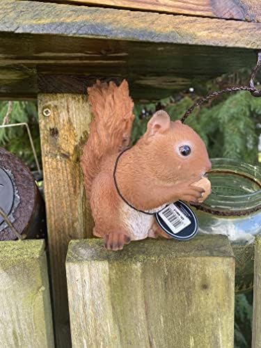 Real Life Baby Red Squirrel | Resin Home or Garden Decoration | XRL-RS01-F