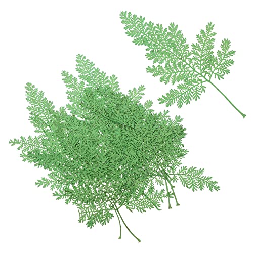 Anneome 240 Unidades De Flor Seca Em Relevo Planta Verde Flores Secas Naturais