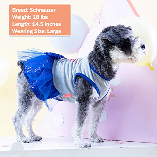 Kyeese Dogs Dresses Usa Flag With Bowtie 4Th Of July Independence Day Dog Dress Parade For Small Dogs Patriotic Dog Apparel #TOP4