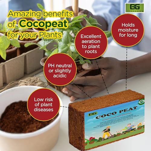Image of Elamgreen Coco peat Buy 1 GET1 Free Coco peat for Plants and Potting Soil /Coco peat 650grms
