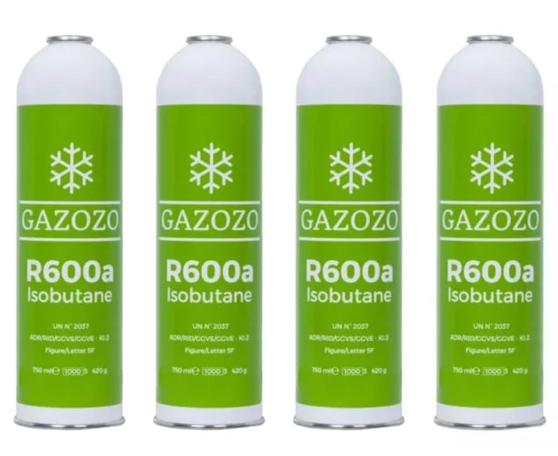 Lot de 4 bouteilles de gaz isobutane R600A R600 - Pour friteuse - Fabriqué en Italie - 420 g