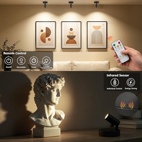 Dehobo Spot LED Sans Fil Rechargeable 4000 mAh – Applique Murale Intérieure Rechargeable Avec Minuterie et Trois Couleurs, Intensité Réglable – Rotation à 350°, Pour les Plantes, Lot de 2 – vue 4