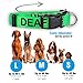 Native Pup Deaf Dog Collar| Hard of Hearing Warning| (Large)