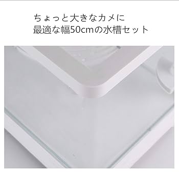 ミズガメ飼育セット Amazon | ミズガメ専用飼育箱 高い透明性亀 水槽 底部が隠れた一