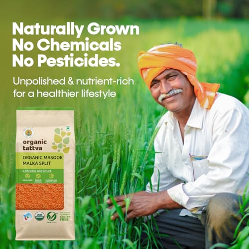 Image of Organic Tattva Masoor Dal 500gms, Malka Split - Red Lentils for Everyday Cooking Masoor Dal, Soups, and Indian Meals