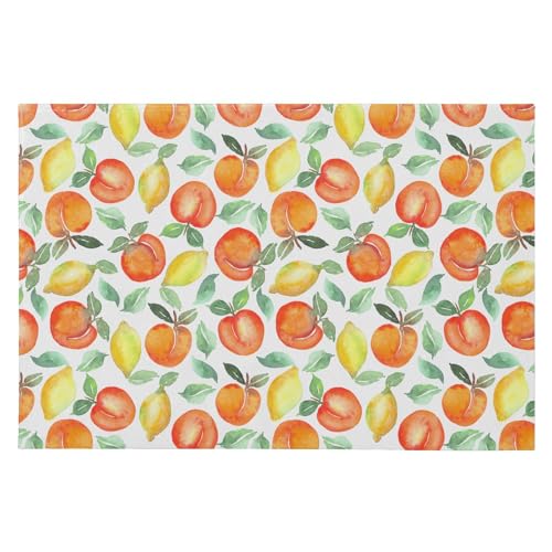 SAMAU  փ}bg  ʕ [  ӂӂ hA}bg DƂ ~ O Ɩp ItBXp ƒp 唻 60*90CM