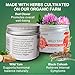 Four Elements 4E Wild Yam Balancing Cream, 2 OZ - 1st Place Winner at the 2023 International Herb Symposium for Creams and Salves! Proudly Farmed, Crafted and Packaged in WI, USA.