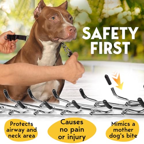 Image of Prong Collar for Dogs - No Pull Choke, Pinch Collar, Adjustable Quick Release Training Collar for Small, Medium, Large Breeds - Stainless Steel Metal Choker Chain