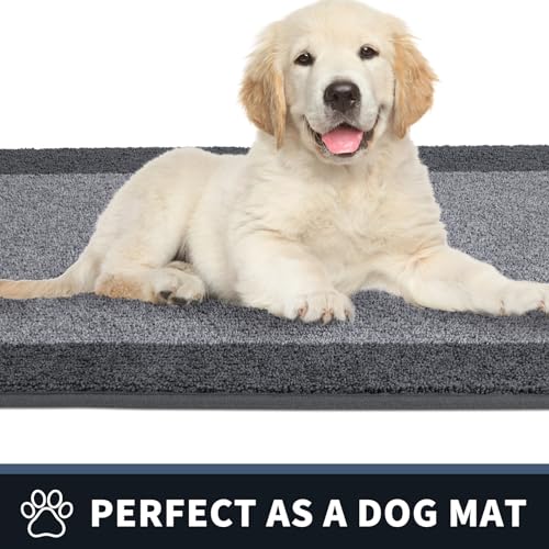Tapis d'entrée grand format lavable en machine et grattoir de chaussures