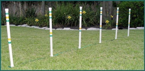 Weave Poles 6 Stick in The Ground for Small Dog - Agility Equipment
