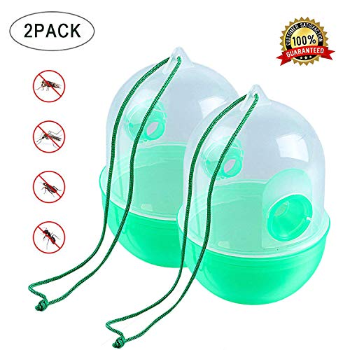 Beetest Wespenfalle, 2 Stück wiederverwendbare Wespe Biene Falle Killer Insekt Catcher Schädlingsbekämpfung Repellent für Bauernhof Garten Hof