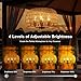 ALL FORTUNE Outdoor Solar Chandelier, 4-Light 19