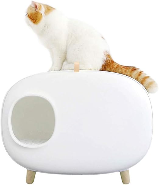 ipet litter box
