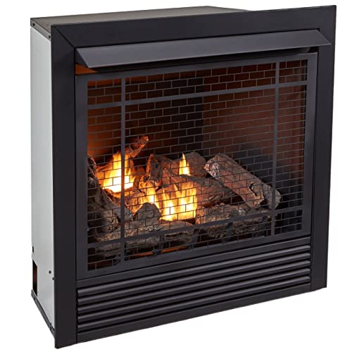 Duluth Forge Fdi32R Dual Fuel Ventless Fireplace Insert - 32,000 Btu, Remote Control #TOP1