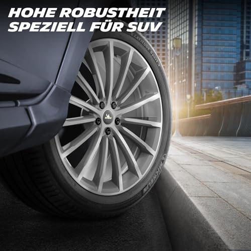 Michelin Latitude Sport 3 - 295/35R21 103Y - Pneumatico Estivo - 6