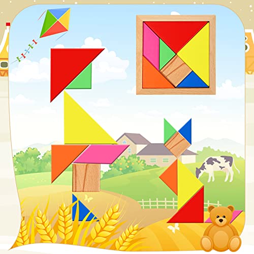 5 Pack Wooden Hexagon Puzzle For Kid Shape Pattern Block Brain Teaser Puzzles Wood Block Puzzle Geometric Tangram Puzzle Hexagon Wooden Puzzle For Jigsaw 3D Logic Iq Game Gift (Geometry) #TOP5