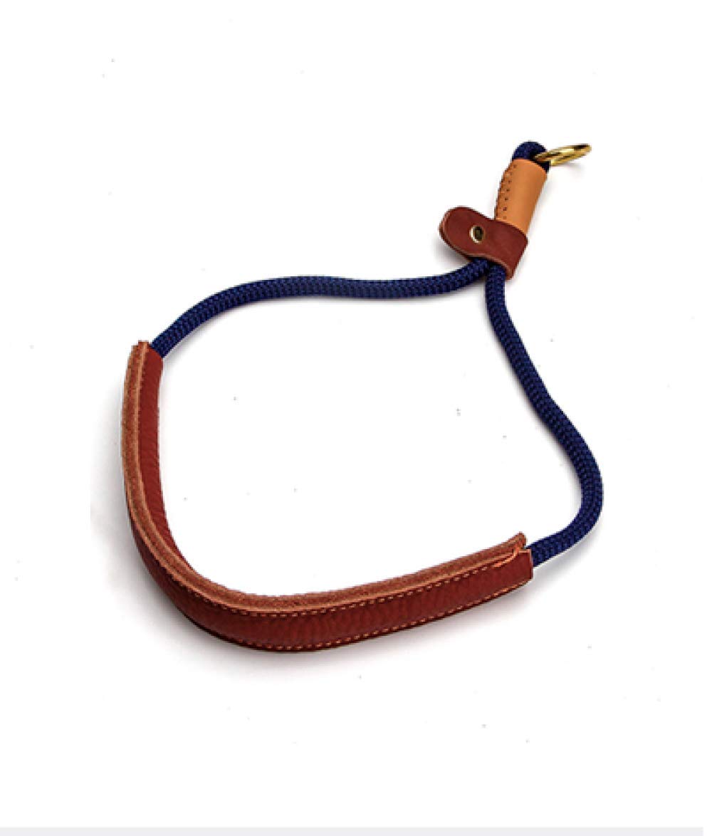 Correa Para Mascotas Correa De Perro Para Corrercuerda De Tracción Para Perros, Psoriasis, Cadena P, Perro, Anillo De Cuerda Para Perros, Perro Grande, Cadena Pequeña Para Perros, Suministros