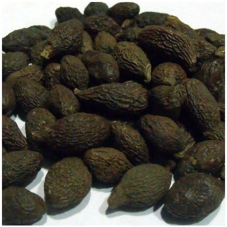 ShubhBhakti™ Niranjan Phal - Sterculia lychnophora- 50 Grams
