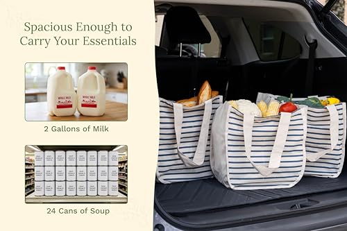 Image of Best Canvas Grocery Shopping Bags - Cloth Grocery Tote Bags - Reusable Cotton Grocery Tote Bags with Bottle Sleeves