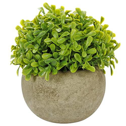 Fantasias Miguel Arbolito de la Abundancia Artificial con Maceta Fina Redonda para Decoracion Decoracion Hogar Oficina Mini Plantas Artificiales con Maceta tamaño de 25cm Mylin 1...