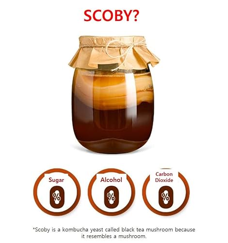 Forest M Kombucha Lemon Cherry, 30 Sticks, Sparkling Probiotic Fermented Drink, Prebiotics, Black Tea Extract Powder, Scoby, Vitamin C, 19 Kinds Of Mixed Lactic Acid Bacteria Alpha-10, Prebear, 콤부차 #TOP6