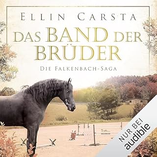 Das Band der Br&uuml;der Titelbild