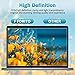 F FORITO 2-Pack 13.3 inch Anti Blue Light Screen Protector, Eye Protection Anti Glare & Blue Light Blocking Screen Filter Compatible with All 13.3