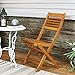 Sunnydaze Meranti Wood Outdoor Folding Patio Chairs - Set of 2 - Teak Oil Finish
