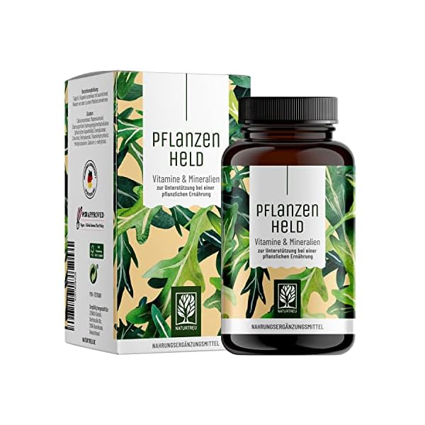 PFLANZENHELD Vegan Multivitamin Kapseln - 120 Kapseln für Veganer und Vegetarier - Daily Vitamins mit B12, Eisen, Zink…